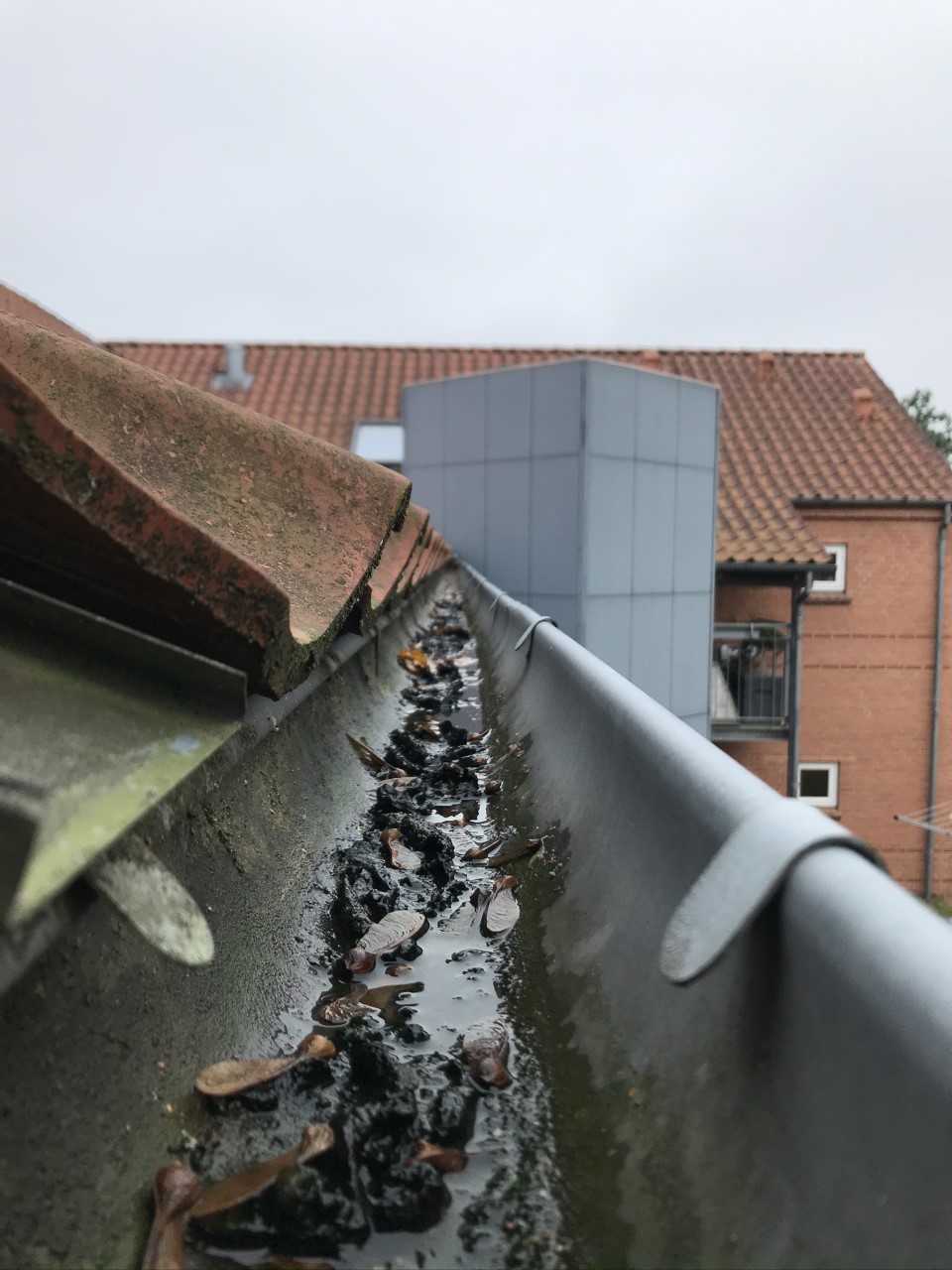 Rens af tagrender Horsens 1